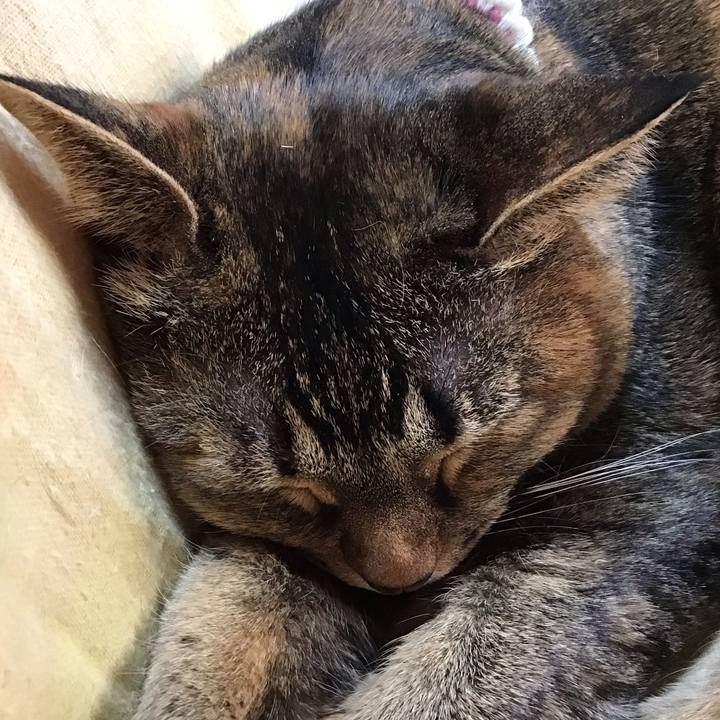 898834e7 e9eb 49f1 b37d 523786f7b81d 1736756042012