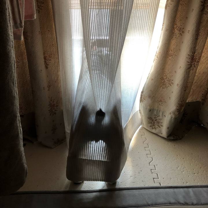 89884dab 9b4c 4aa2 80d7 8b000ecd0f55 1626523203923