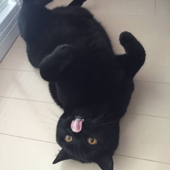 8988557a a780 42b3 869f 266e6db01ce9 1527376475261