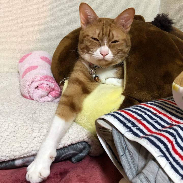 8988944e c17a 4e38 932b 6138f33d451c 1583502854225