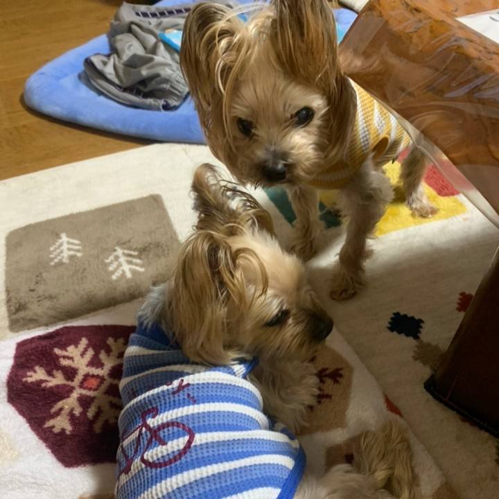 8988c927 f899 430f 8740 d03acd92ce59 1645172797935