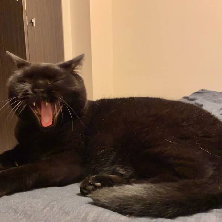 8988ddb0 e837 4cc1 b7a9 e826a516c09e 1665405868934