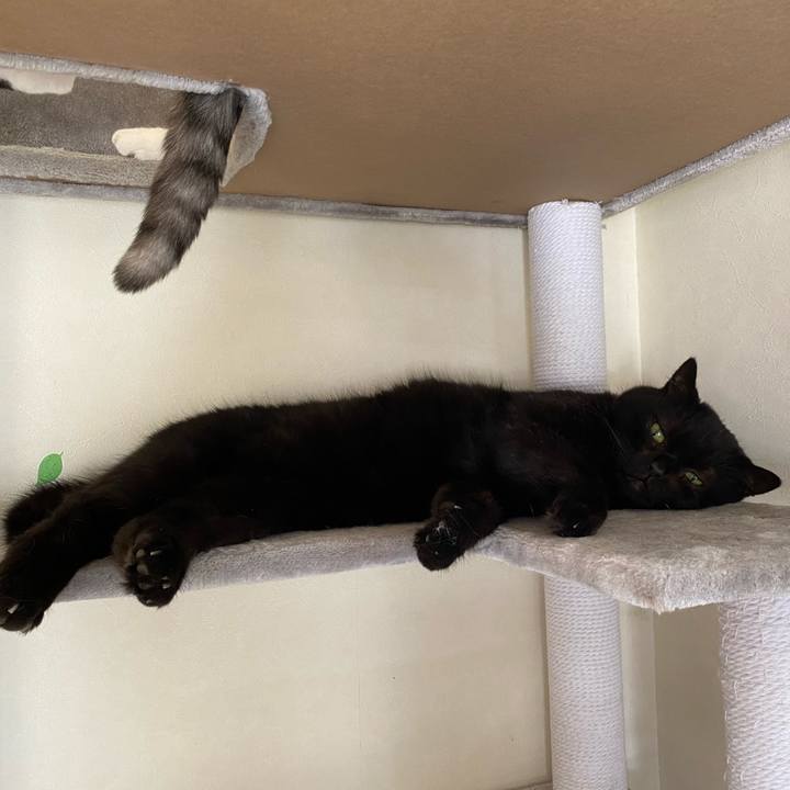 89893299 157c 4173 b822 e73d61814397 1633692973087