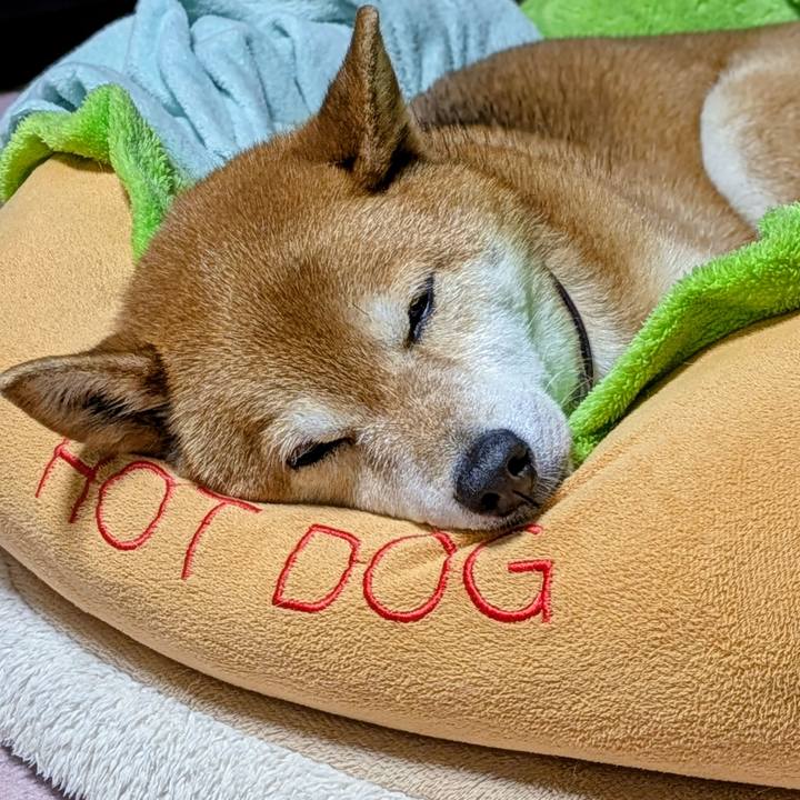 8989534a 5808 4949 9b21 cdd9ece6bb39 1743158244864