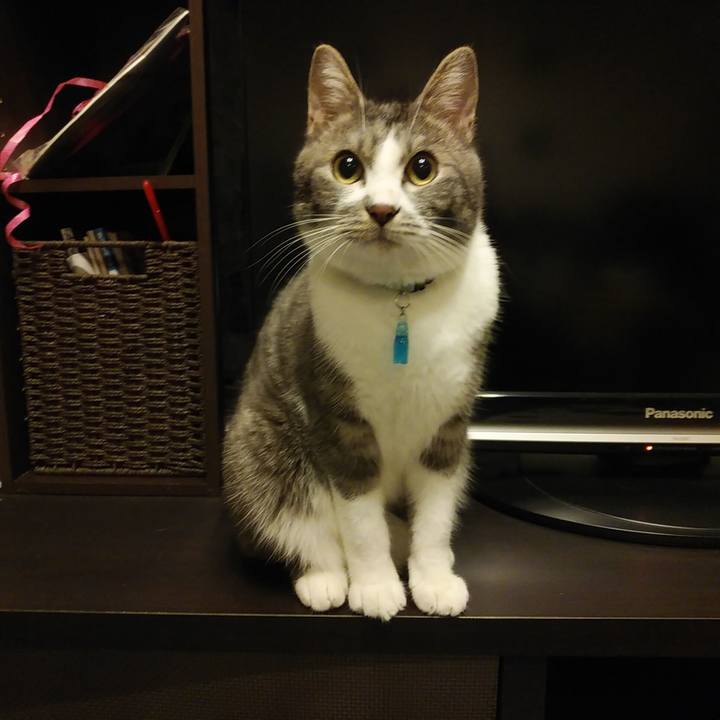 898964ec 3e18 49fe a372 53b578471df5 1582987659380