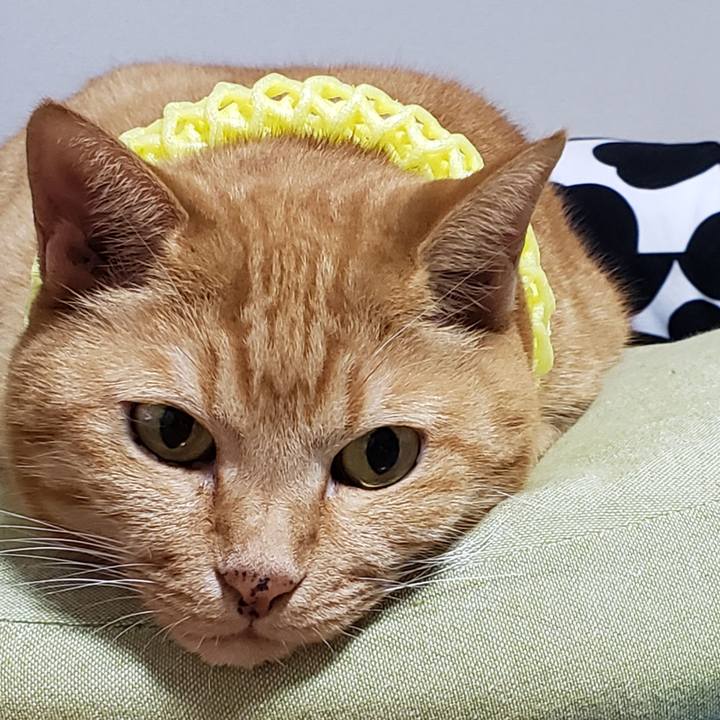 8989b17a f6f5 4ddb 9c3b a2cf2347e011 1724383810643