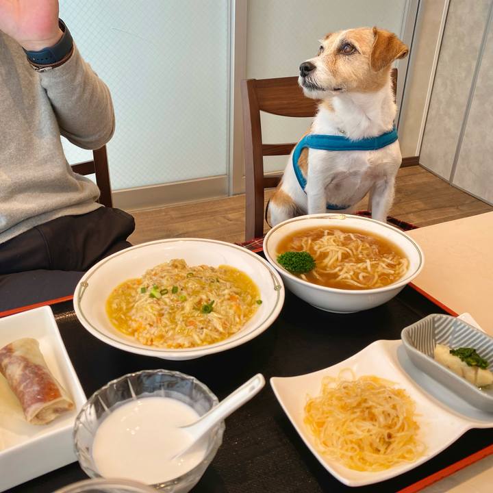 8989d4d4 769d 466e aeb2 0e8afd201f1e 1735385295829