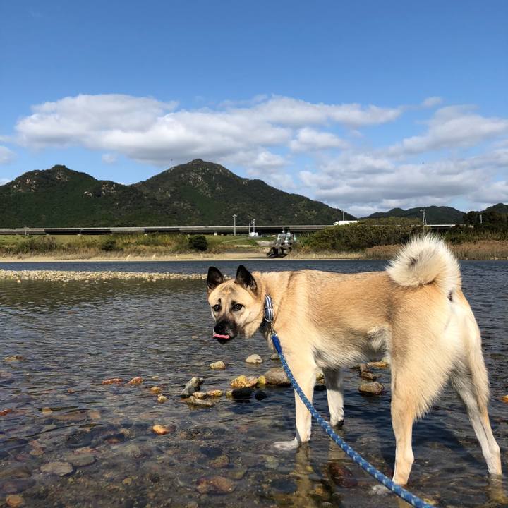 8989f212 7806 4ef7 8838 32291279c07c 1572856961791