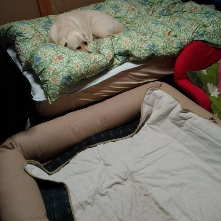 8989fab9 28b6 40df b1e3 8a855d3392af 1592055088810