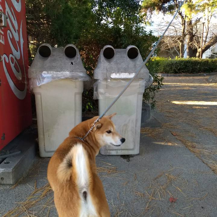 898a3342 7ac4 4720 b214 7c3023d23257 1513057431135