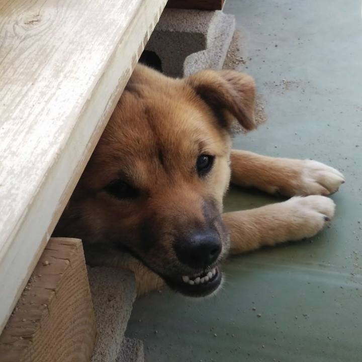 898a34ef fb24 47e5 9ce8 dc659da61910 1650116851367