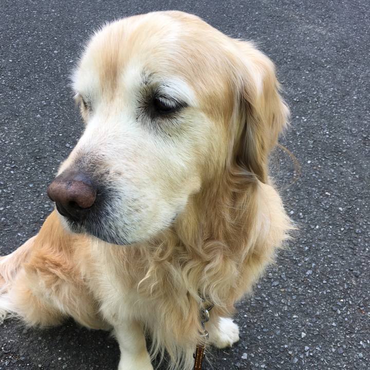 898a38c7 eb23 4eae 9bcc 69a6ef85bfa9 1525560568407