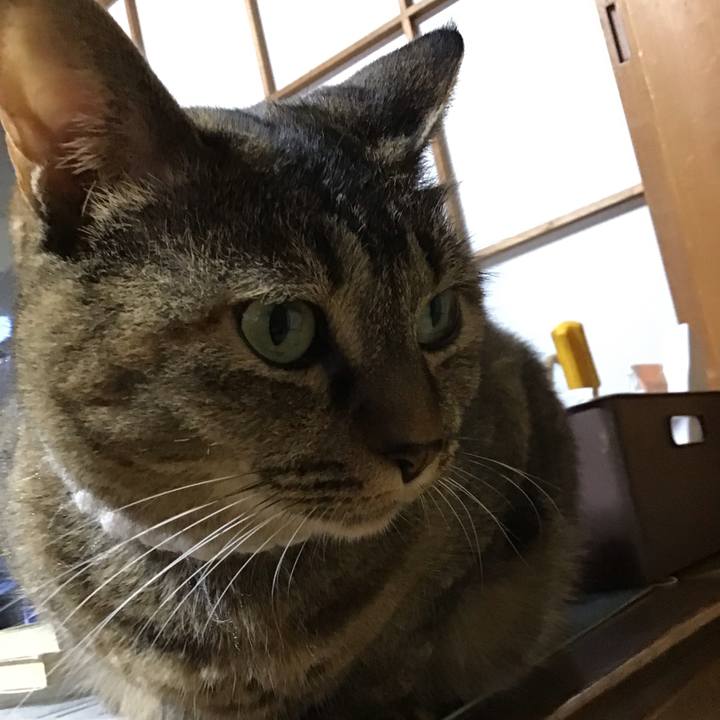 898a506c 0970 4e0d 8f73 e780888b2b5a 1726741044026