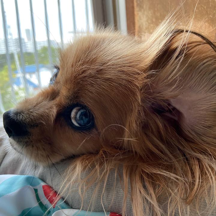 898a5321 757a 4076 a355 57c62249706c 1626988502201