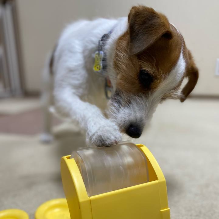 898a540e 9790 4d4a bf3d 51e39715f3f0 1771764236720