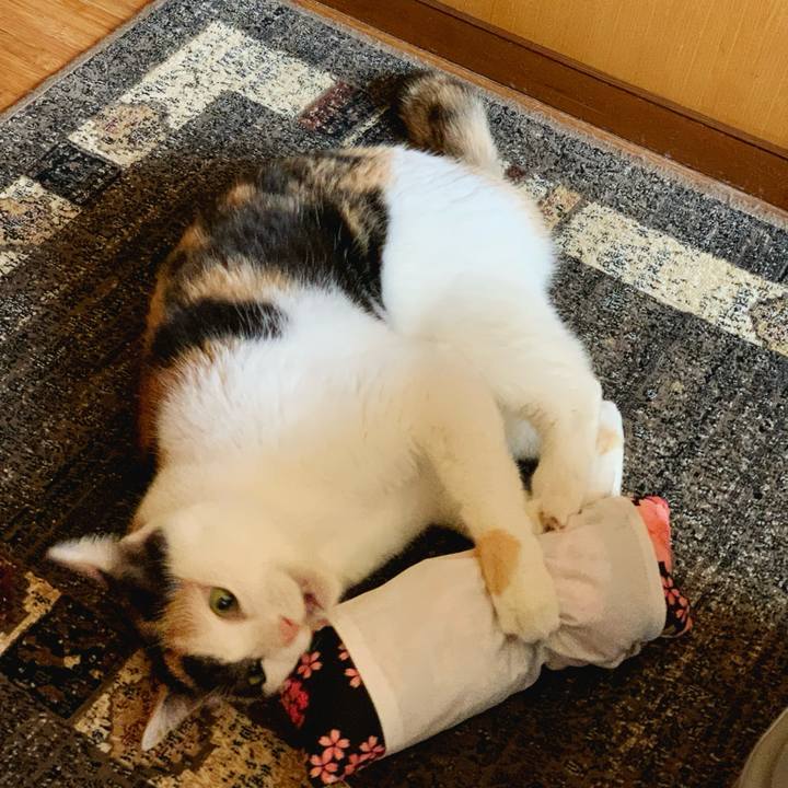 898a926b 7ed0 4728 9991 5aeaa10a73e8 1584839307664