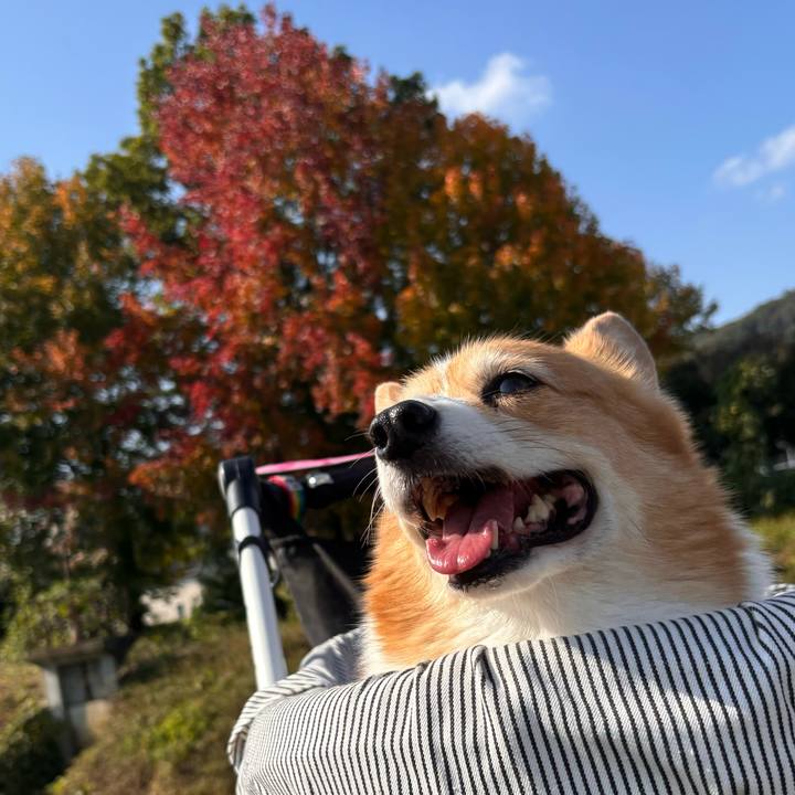 898ab48d f8a0 4846 9356 58f59c882460 1731552163162