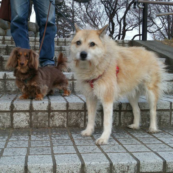 898ad53e 2640 4b07 aa8a c051271bcf48 1519548025907