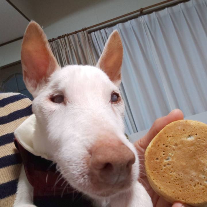 898afff9 61c4 443f a436 f2d8c8b8cefb 1611532869647