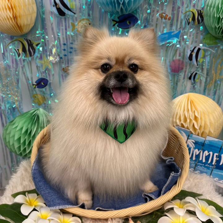 898b1214 33d0 4dc0 9c58 5ba811dcab6f 1691416075634