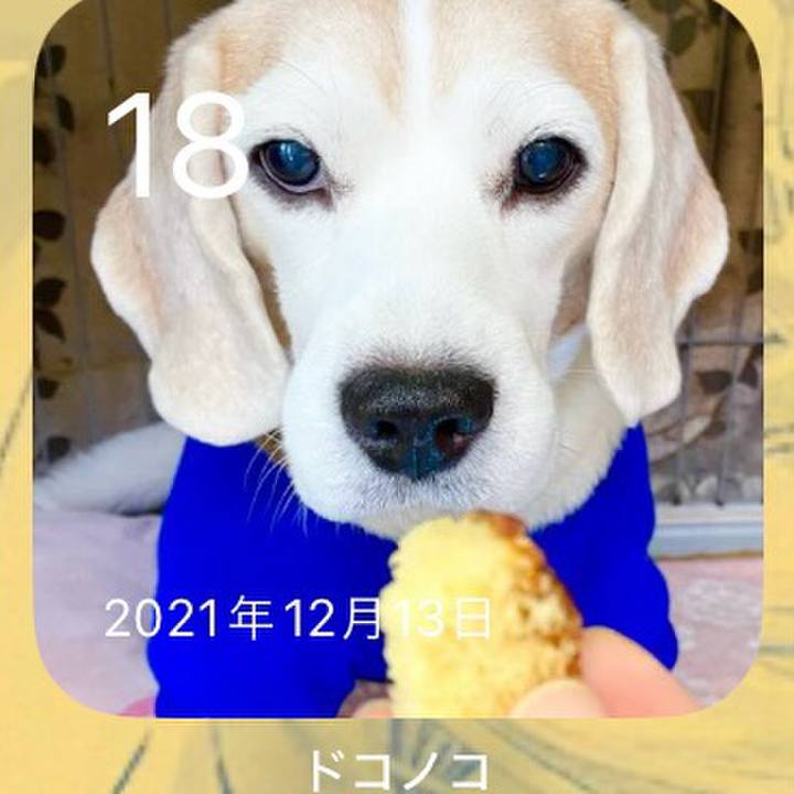 898b2a4f 1afc 4601 ae6f ace71a8b7f44 1702858197769