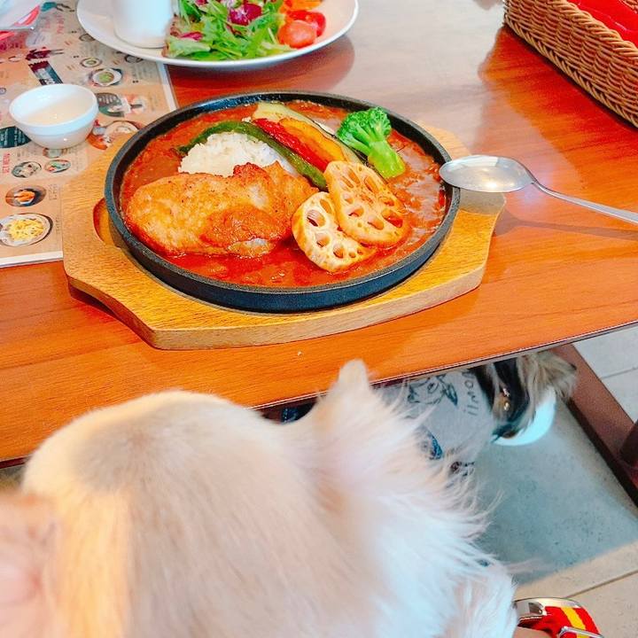 898b2de4 6390 427d ae24 e00e66ee593e 1634019831900