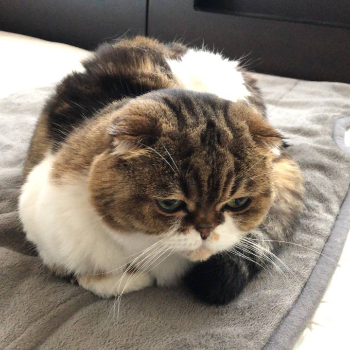 898b5ec2 b658 4d57 979a 9efd309258bb 1543010371388