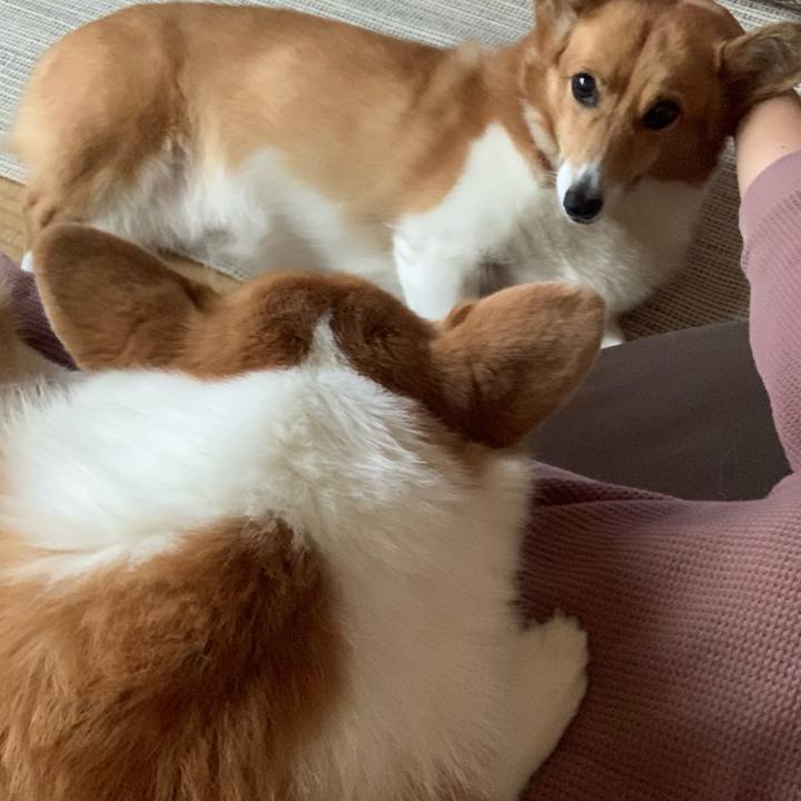 898b6f35 fcf7 41fd bdd4 329e3c16fcdd 1634104561814