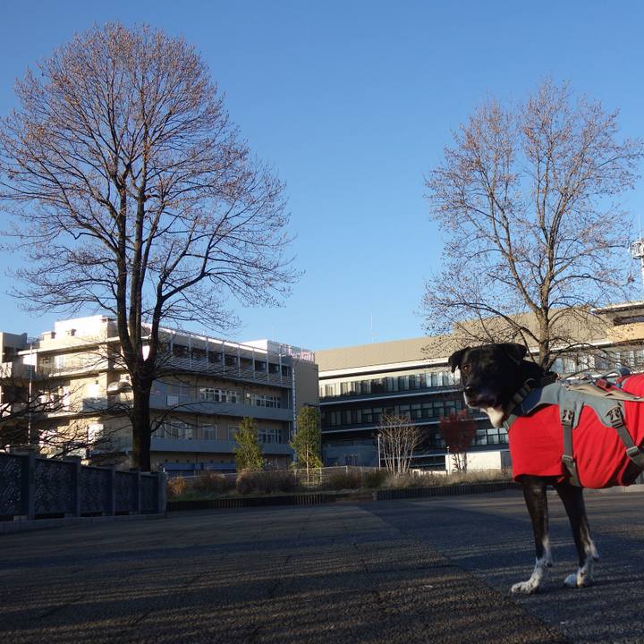 898baab3 2d92 46de 9c8b 6c90c47a2877 1734744942457