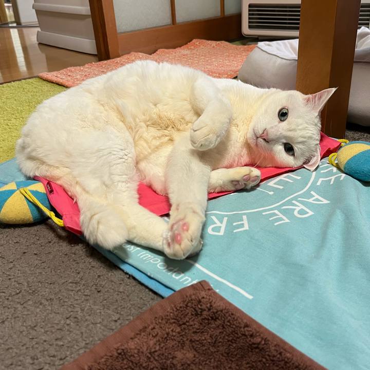 898bab8b fa32 4344 8d53 ac39b62445dd 1743321271287