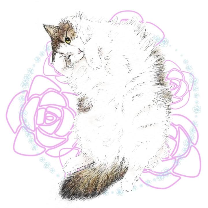 898bb924 e049 449a b434 451a224b89c6 1567434095864