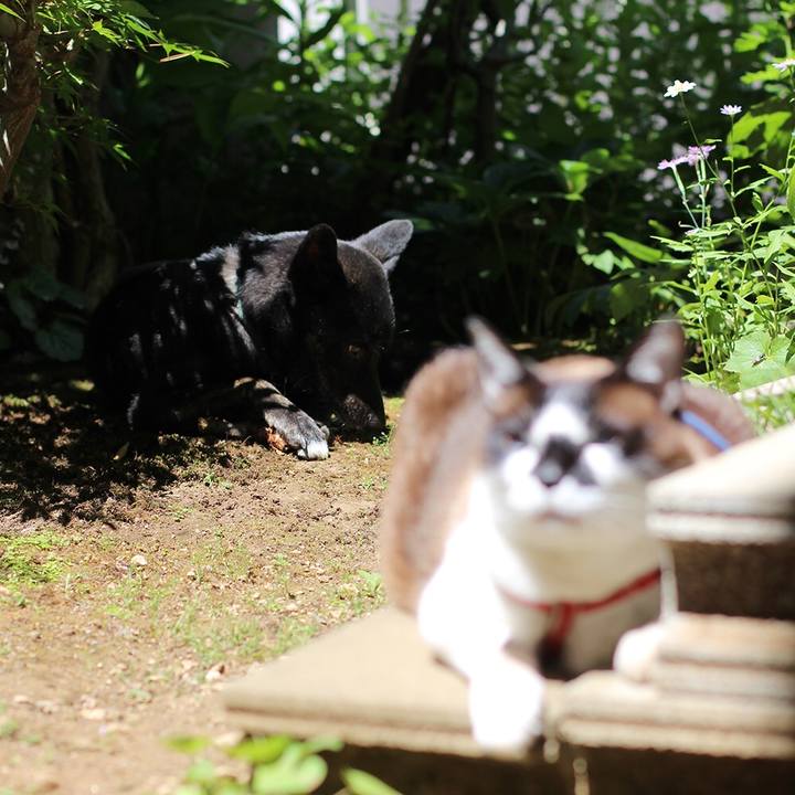 898bba6f e41c 4b17 baea be4d59aa8fb8 1528811245880