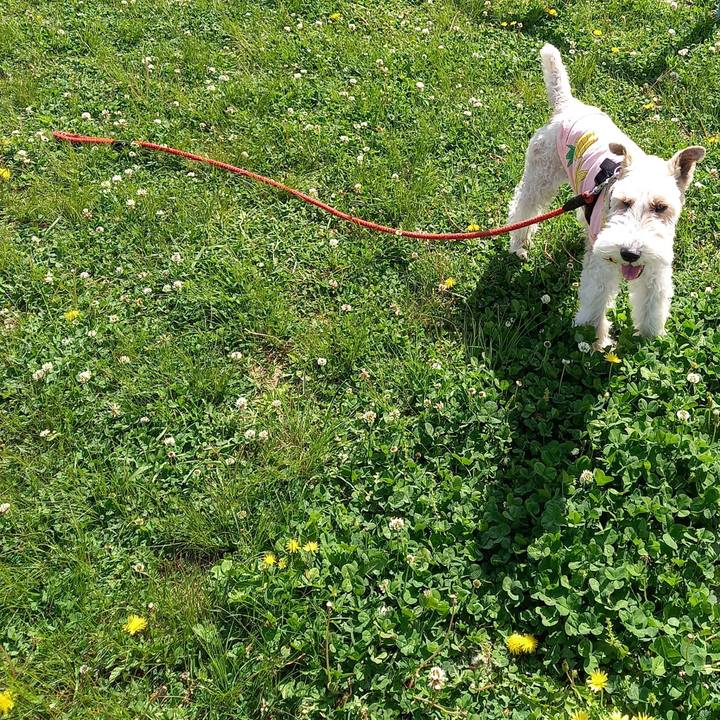 898bc8d2 8877 4b89 9138 9c99ebdf1e10 1619326718105