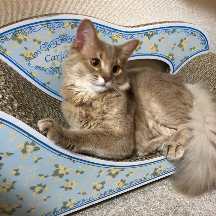 898bd2ea a4bb 461c a534 cb071218a936 1554622851450