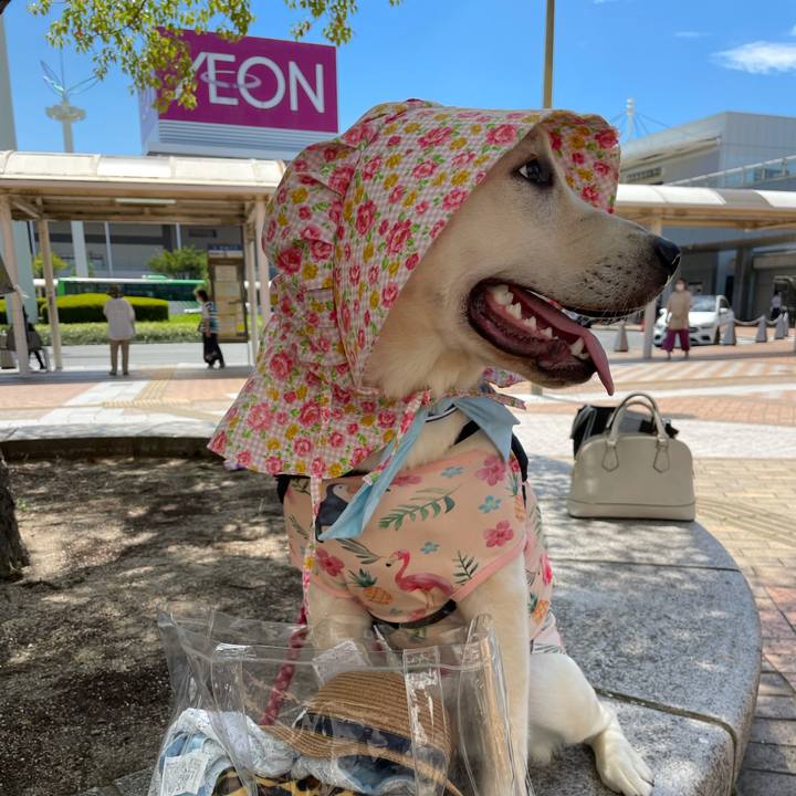 898bd8e4 8fdd 4762 bceb fd527189ceb5 1627279267924