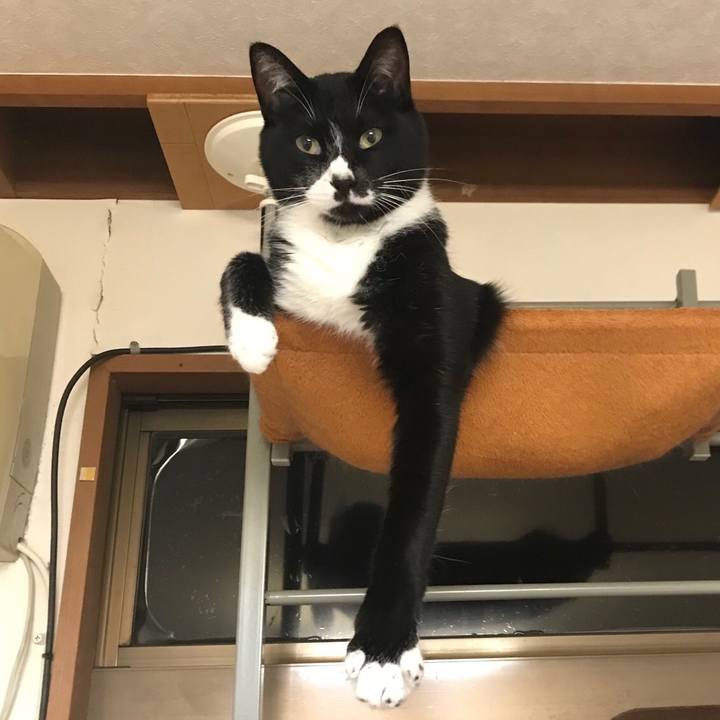 898be1e3 2f75 4ec1 a21a e572ad9567e9 1572765961765