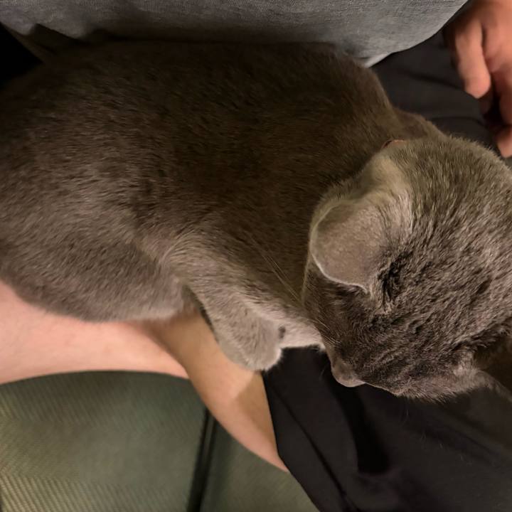 898bea64 9fe3 4174 b6a6 df13d16c5b3b 1760746004503