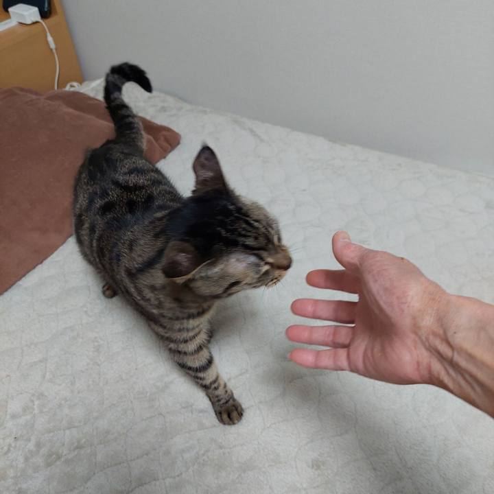 898bef6a ae70 4fd6 a09e 785319c30c97 1644273732629