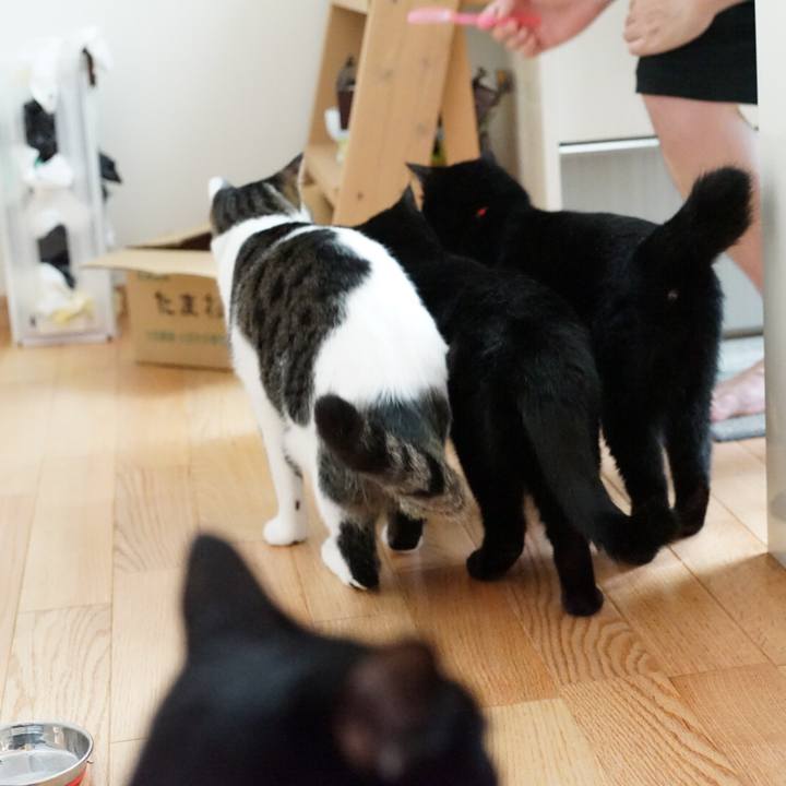 898c0017 01b6 43a8 af88 89c6ba103117 1531564369296