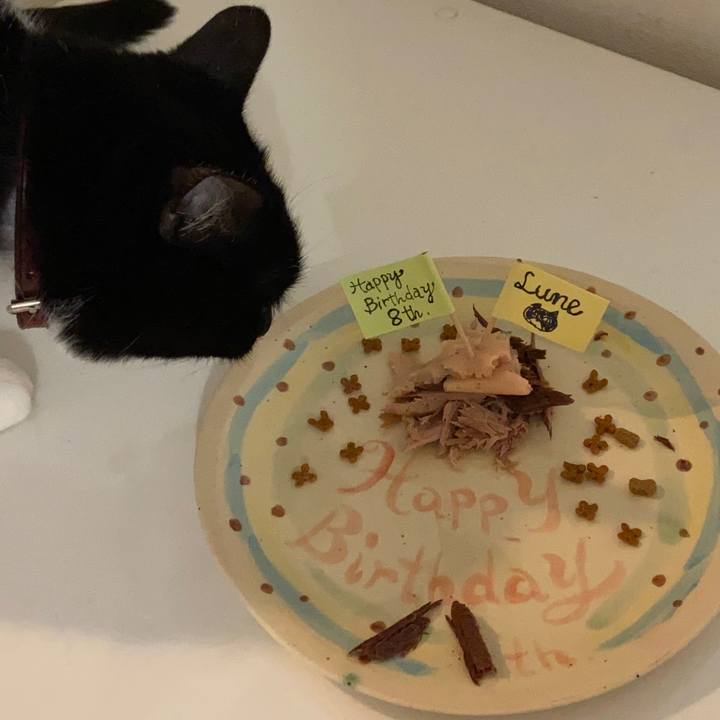 898c2e8f 1144 473b 96ed 95f04a230955 1674652318394