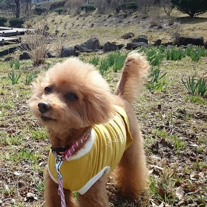 898c3807 ff33 4729 a674 e8d990d16b58 1522117916126