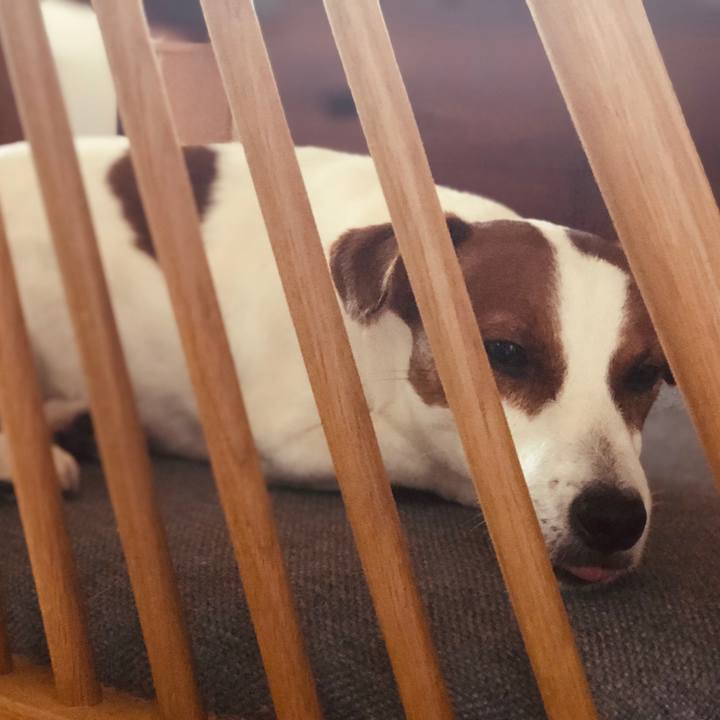 898c4364 883b 4c0d a67b 90d94beed3f7 1594801466626