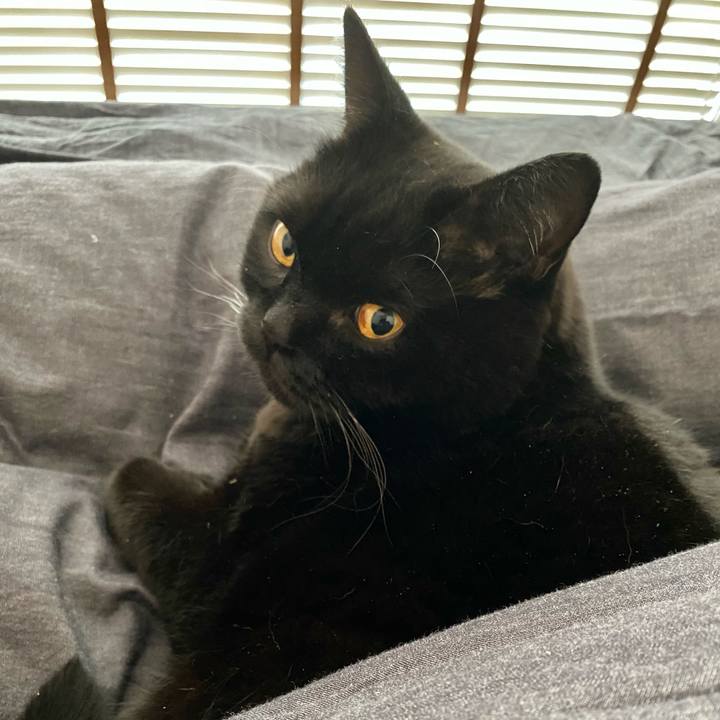 898cba40 3345 4a92 8c17 0fda0407fc06 1667084382179