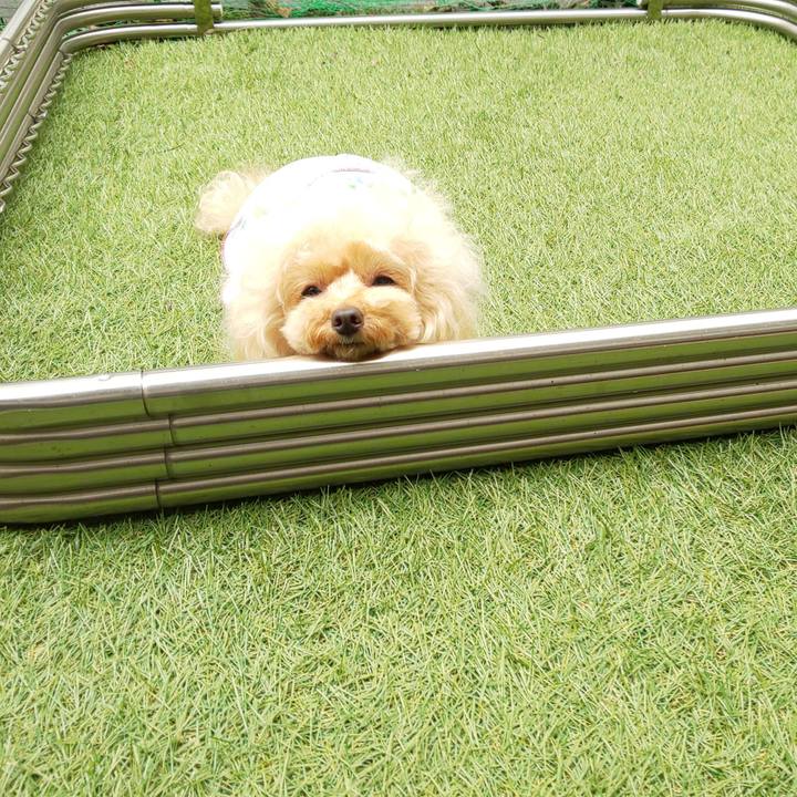 898cdd0a a1b9 4fb4 8202 ed94c4815500 1569056101238