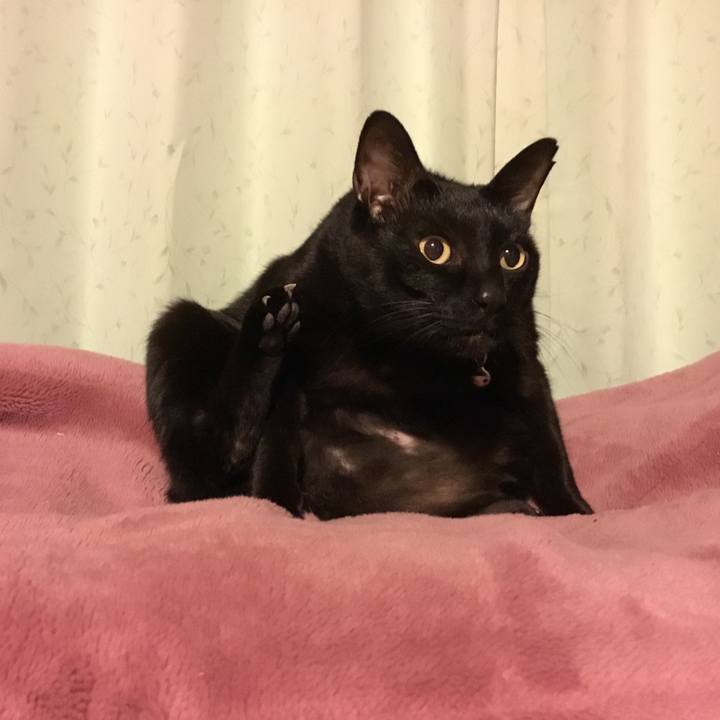 898cdf7e 8049 488a 8f85 66e4193ea327 1513330835913