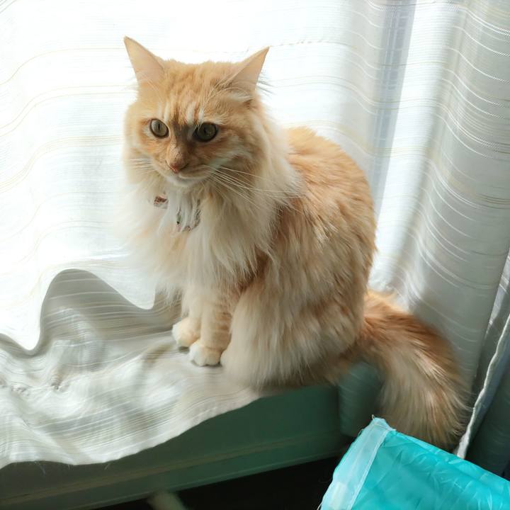 898cf0e7 4c5e 453f a7f1 20bd6be21c7e 1681011102632