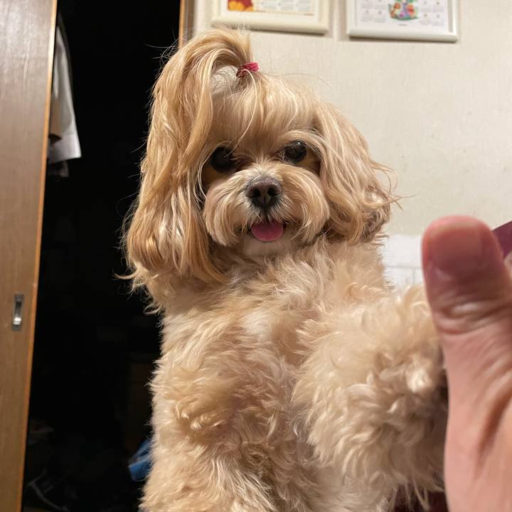 898d417e e259 4515 8c4d ffaff8229ef9 1678449405450