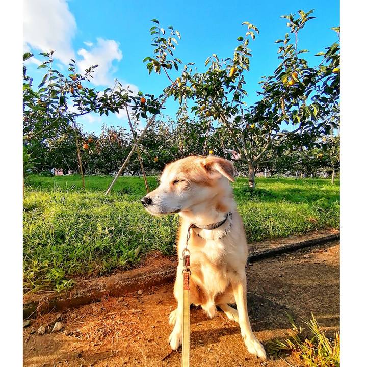 898d4be3 a3b6 4b9f a9e9 0e5458dd764e 1602406529564