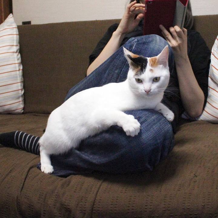 898d6ba2 9529 42c5 ae72 5fe9af0e6168 1574001520635