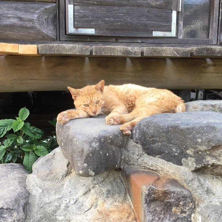 898dcf32 cdbd 4826 9f2a 8a67eb19446b 1559858969163